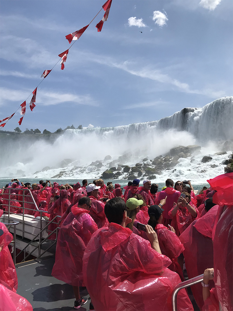 Curso de verano en Toronto con alojamiento en familia | Canadá