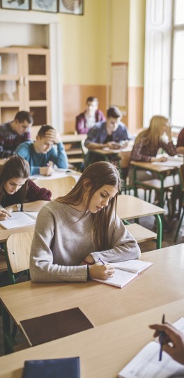 ¿Por qué realizar un año escolar en Francia?