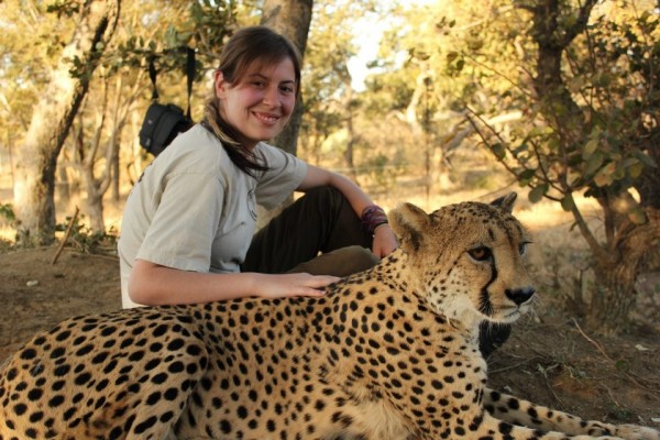 WILDLIFE CARE CENTRE