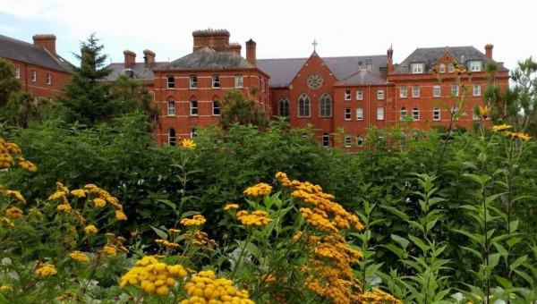 Colegio público en Irlanda "Dominician College Wicklow"