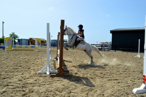 Curso de verano con inglés y hípica en Ennis, Irlanda Curso de verano con inglés y hípica en Ennis, Irlanda